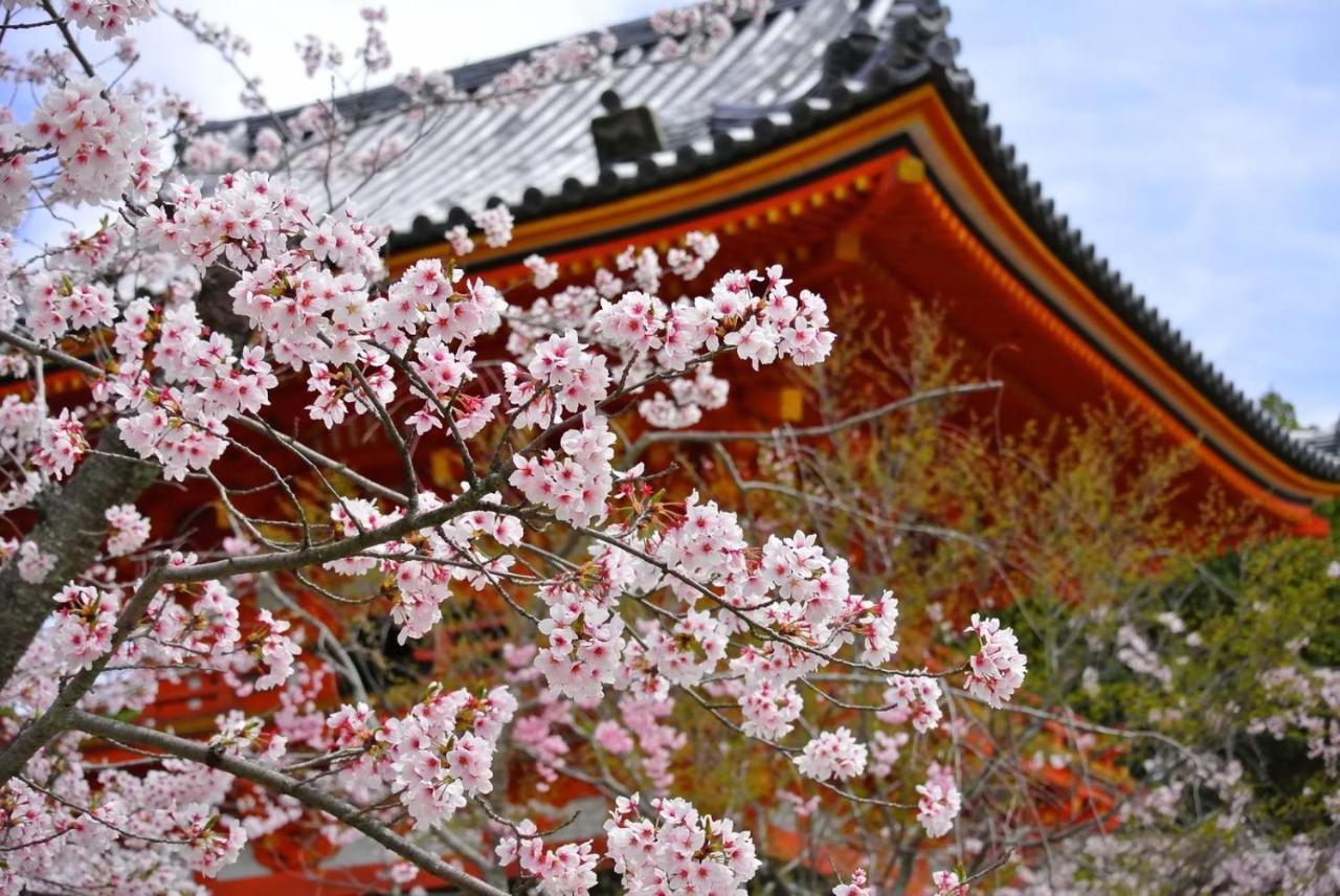 Stay Sakura Kyoto Suzaku Oji Exterior photo